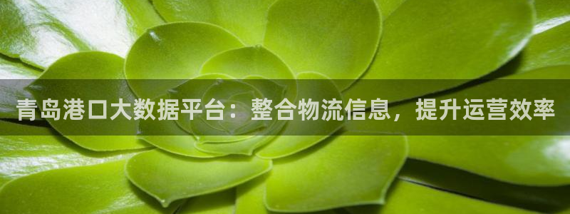 TP钱包怎么创建观察钱包