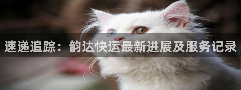 tp钱包怎么套现