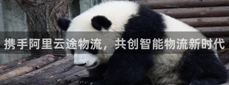 tp钱包怎样跨链转账