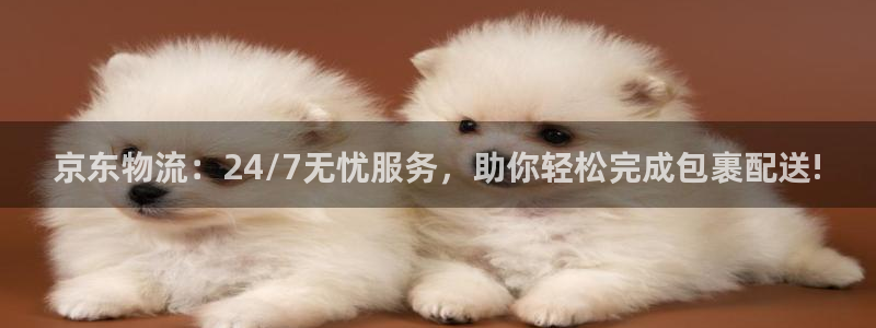 tp钱包币没有了