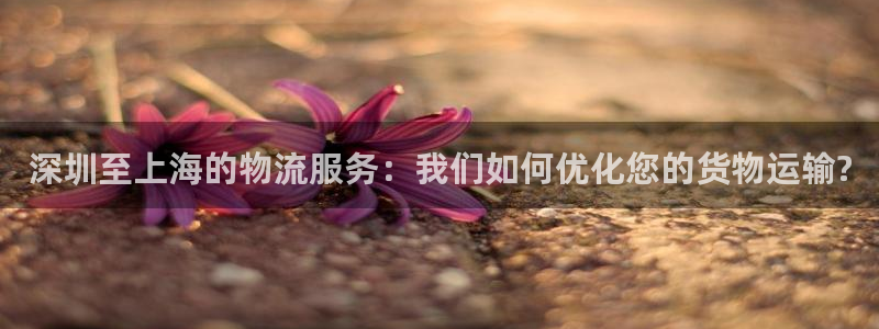 tp钱包官方最新版本