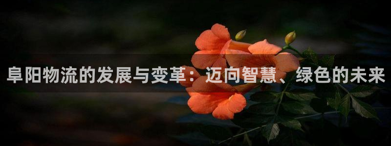 Tp钱包安卓旧版下载