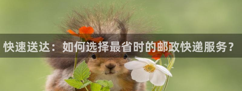 tp钱包官网下载高洁雅