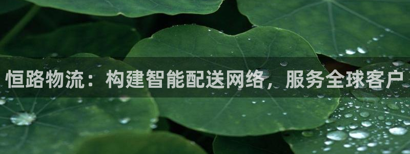 usdt转入tp钱包