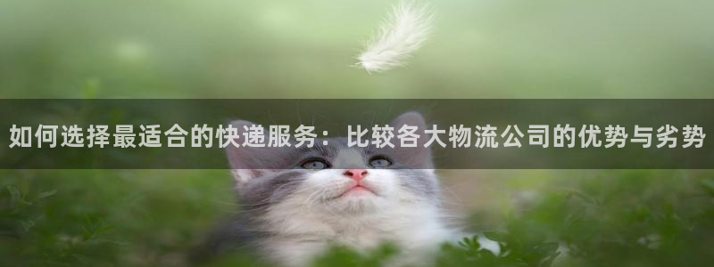 tp钱包扫码被盗报警