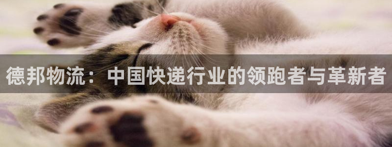 tp钱包怎么看授权