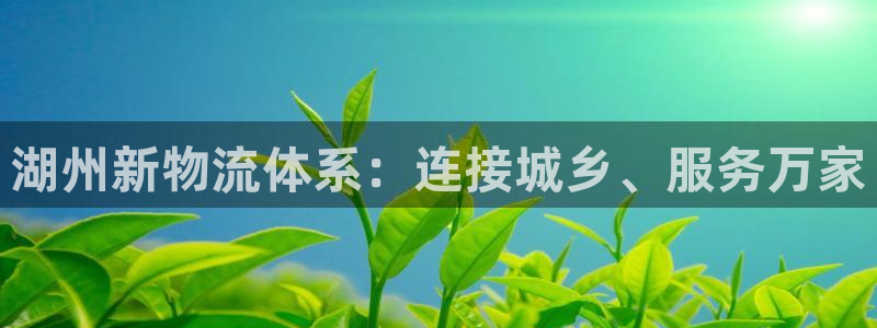 tp钱包怎么购买eth