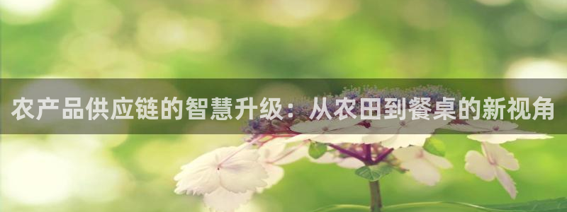 tp钱包资产被盗可以找回吗
