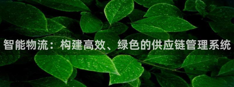 tp钱包如何提币