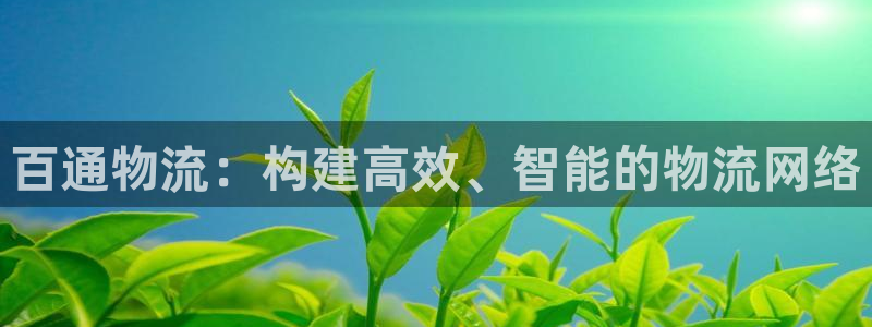怎么把usdt转到tp钱包