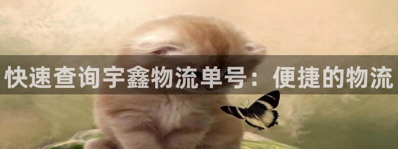 tp钱包百度百科：快速查询宇鑫物流单号：便捷的物流