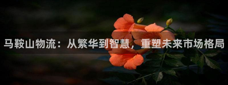 TP钱包下载了但是钱没有收到