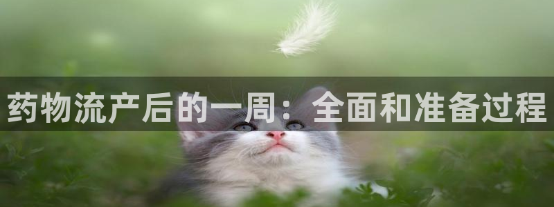 tp钱包支持erc20