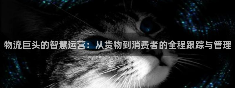 tp钱包安卓版官方app下载
