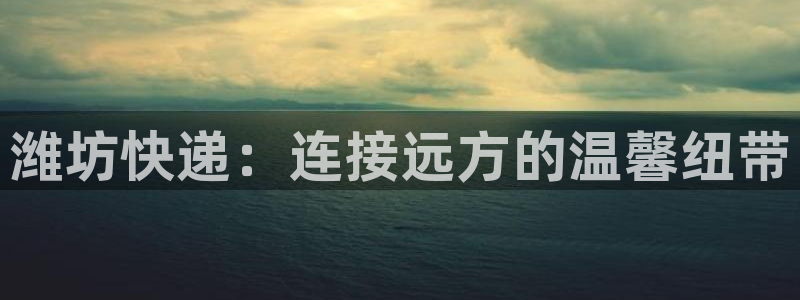 tp钱包新上的币看不到金额
