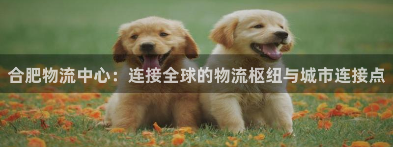 tp钱包如何购买usdt