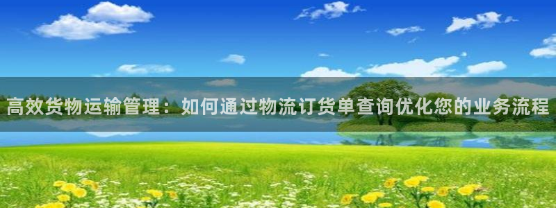 TP钱包怎样下载1.9.2版本：高效货物运输管理：如何通过物