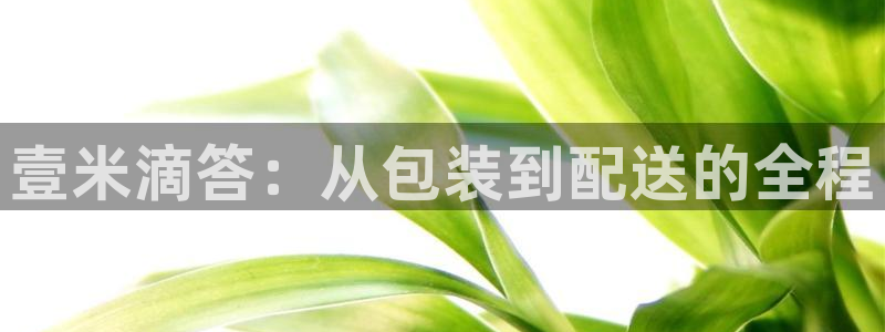 tp钱包用法 图文