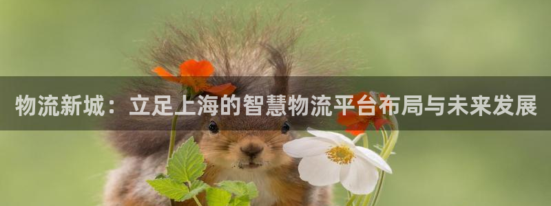 tp钱包怎么批量转账
