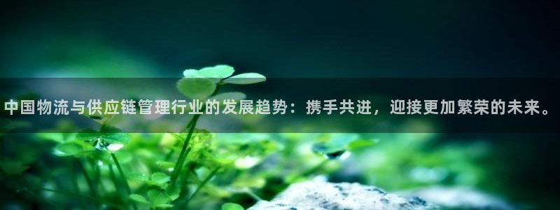 tp钱包uniswap打不开